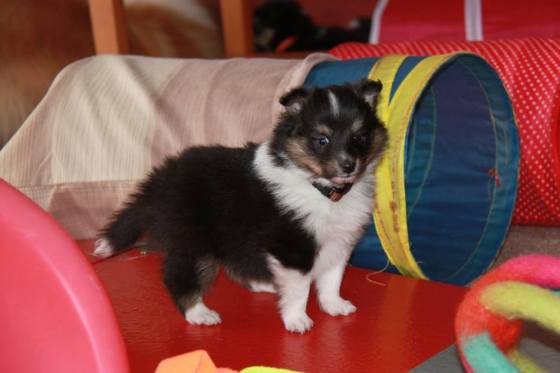 1000280_10151993203857205_318377901_n