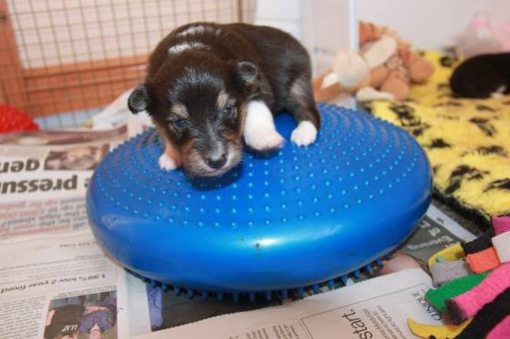 150369_10151965789932205_1241931372_n