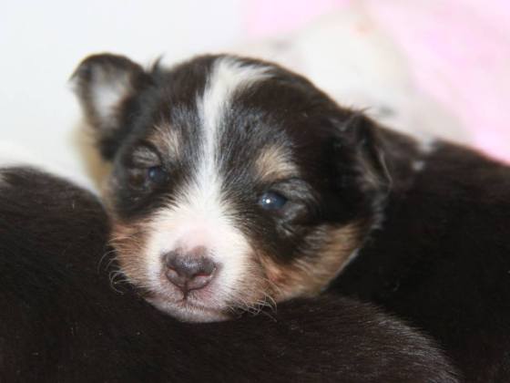 1507577_10151965794837205_1807555285_n