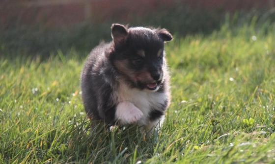 1606294_10151987453747205_606949702_o