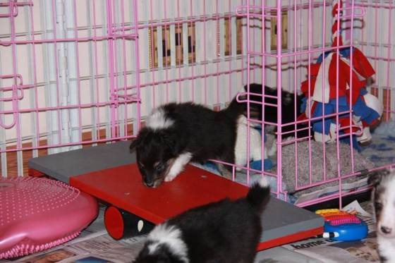 1619518_10151985734657205_384210292_n