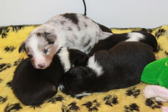 1781863_10151965798047205_133563289_n