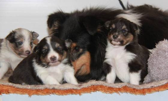 1794749_10151969860377205_698909113_n