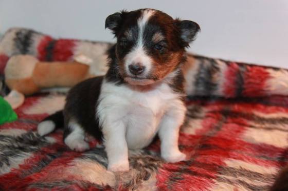 1797593_10151967871437205_921681823_n