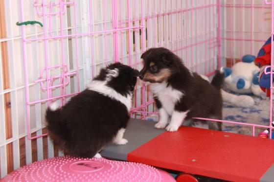 1798693_10151987446607205_1028825485_n