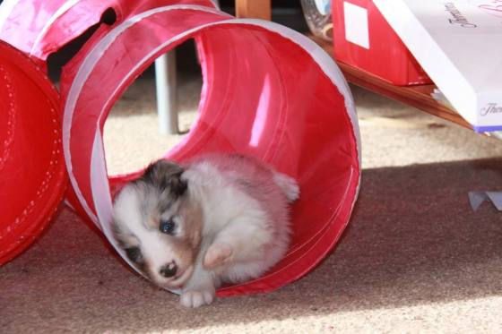 1798868_10151987448642205_1080538129_n