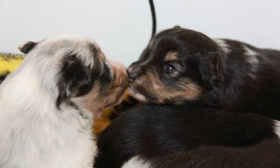 1900109_10151965791627205_1960776884_n