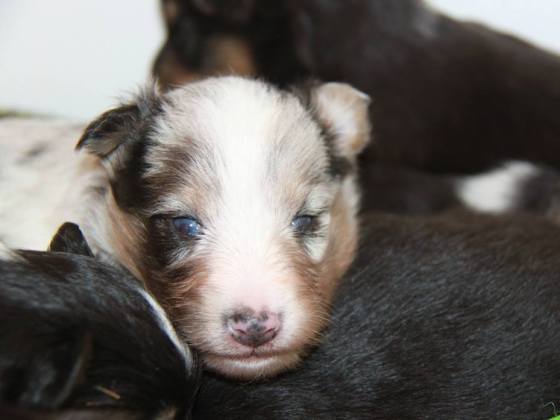 1911847_10151965790497205_2034386266_n