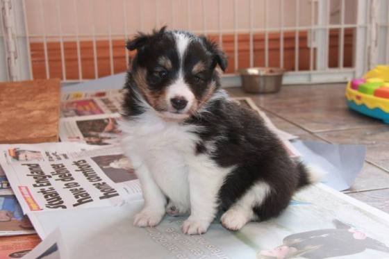 1932432_10151987447727205_2042392476_n