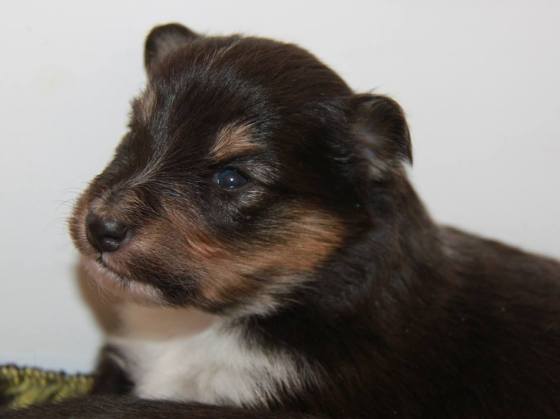 75944_10151965793702205_1700128352_n