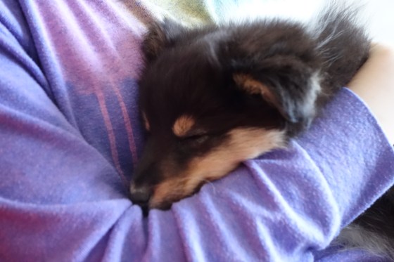 And most importantly, cuddling and taking naps!