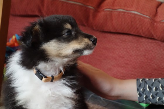 The first of many gazes we will share <3