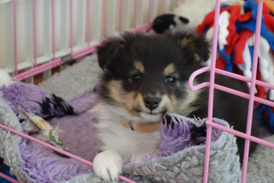 Do you feel your heart melting? Do you??