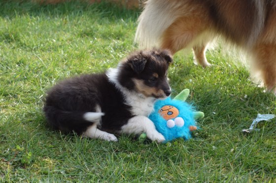 Toys are wonderful...