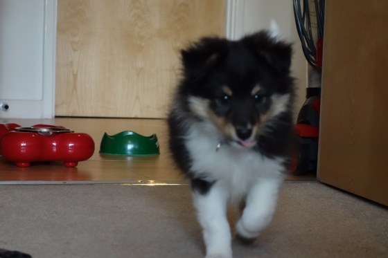 Here he comes! Closer and closer...