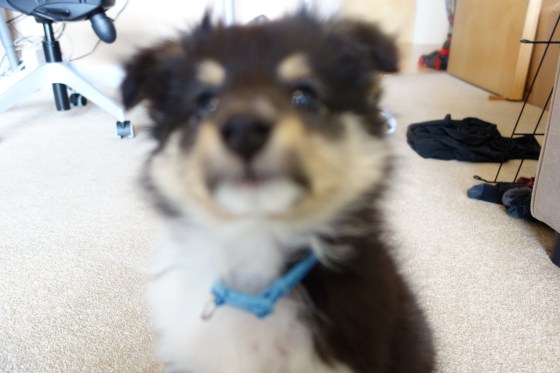 "What's this? What's this? A camera, you say? Can you take a picture of my nose?"