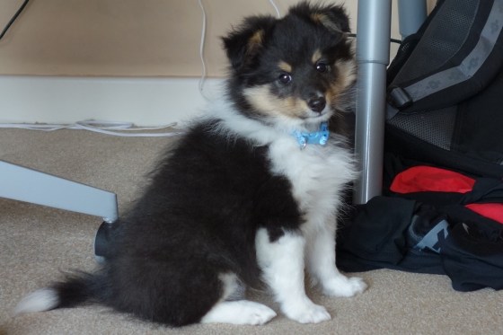 "Do you think I'm beautiful?"