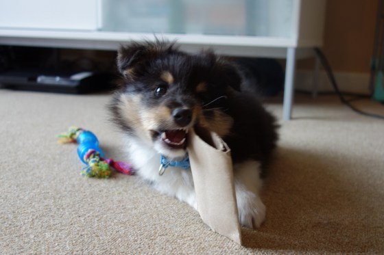 Creating art out of recycled cardboard