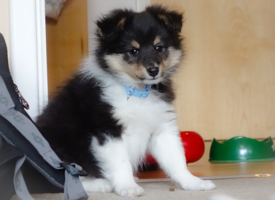 But he soon goes back to posing prettily.