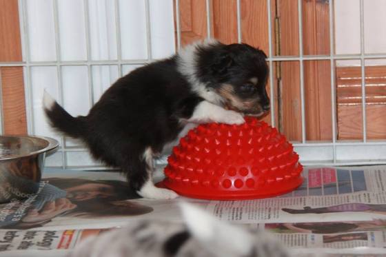 At 3 weeks, Roy feels ready to start his fitness regime.