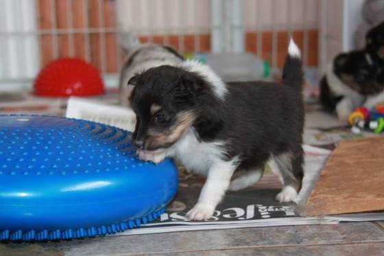 He believes that a healthy body is the key to a happy life.