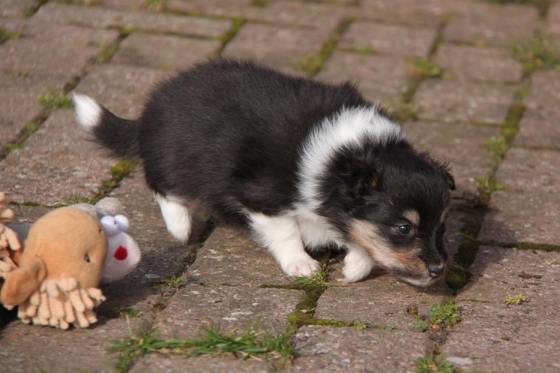 Almost 4 weeks old now, Roy begins to explore the great outdoors.