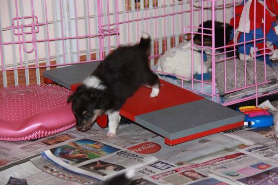 See saws are great fun!