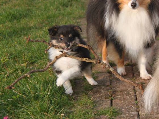 Like finding this massive branch, and feeling the pride of accomplishment...