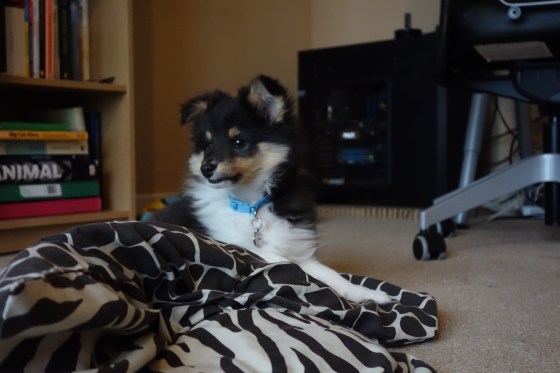 Looking rather regal here