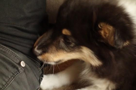 I never knew just how tasty my trousers were.