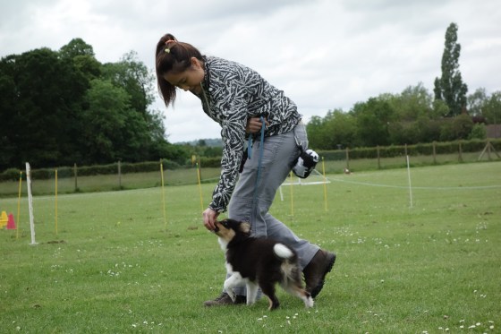 Practising his heelwork