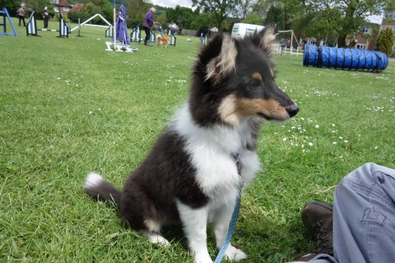 "Feed me, I'm a good boy!"