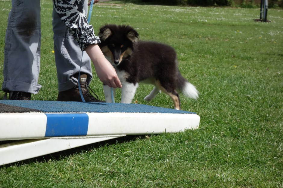 "I see you have some food. Can I have it?"