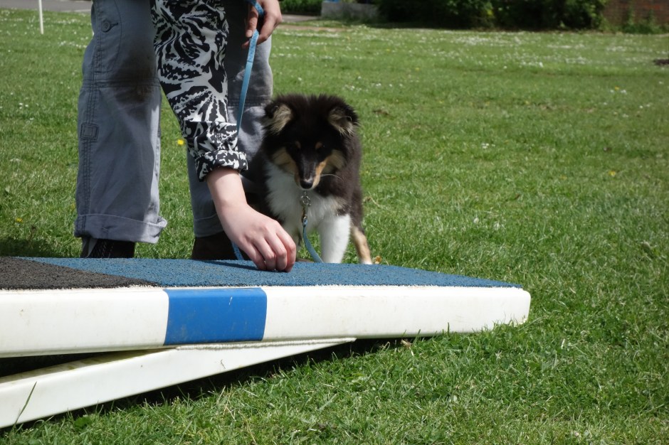 "Why are you putting the food there? I'd prefer it if you put it in my mouth instead..."