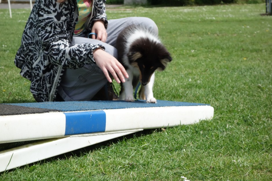 "Fine, I'll get on it... Yeah I got the food!"