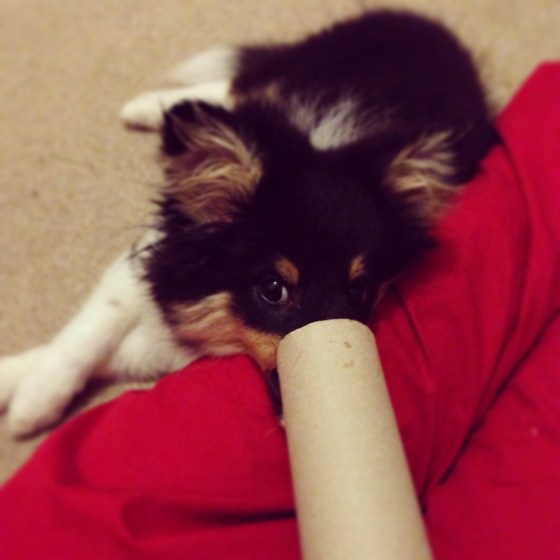 "Do you like my new nose?"