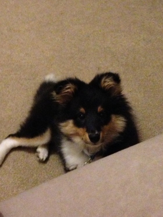 "Isn't it time for me to have some food?"