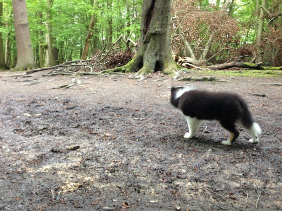 Photo 24-04-2014 15 00 14