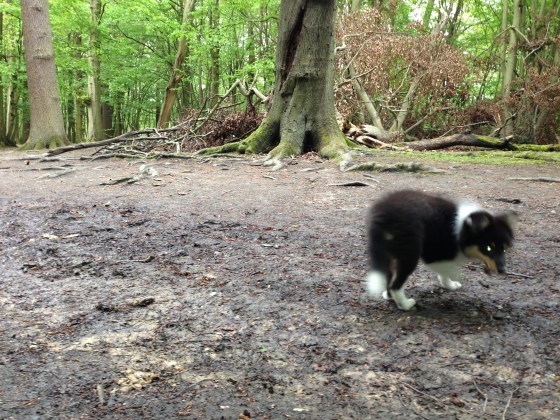 Photo 24-04-2014 15 00 17