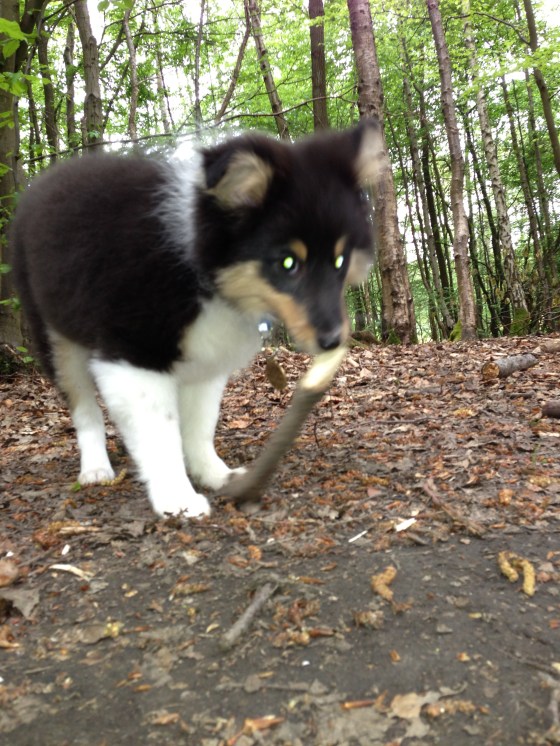 He even found a weapon for himself.