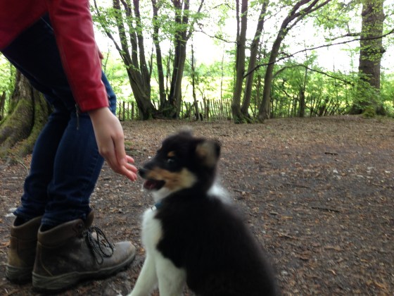 Roy decides that the camera is very suspicious...