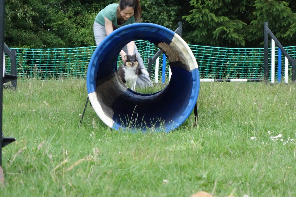 "I see the toy! I see it!"