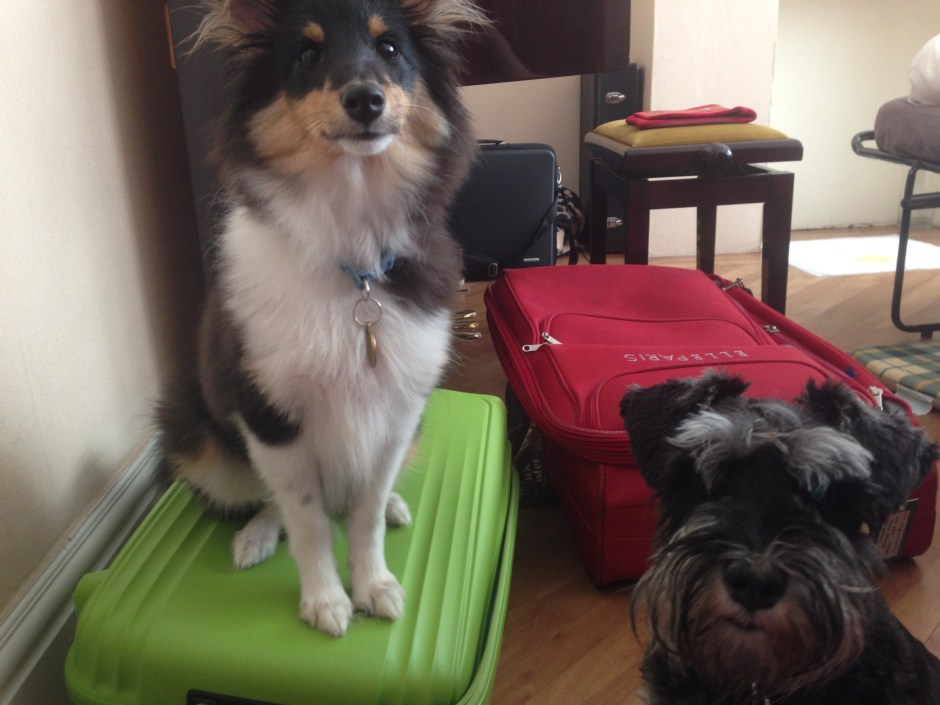 They were virtually inseparable the whole time we were there