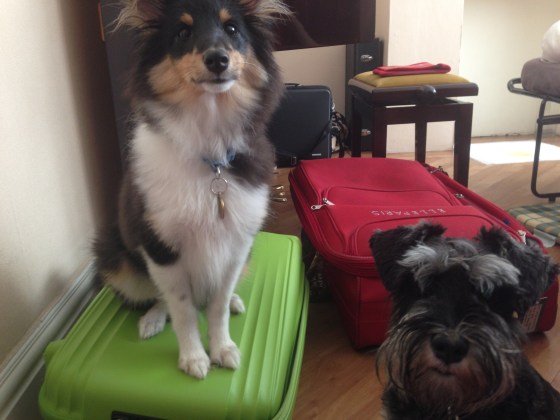 They were virtually inseparable the whole time we were there