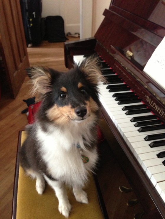 He learnt to play the piano!