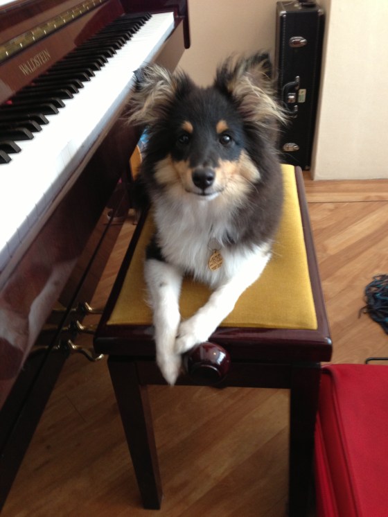 He may have got a little ahead of himself; he even started practising how he would pose for photographs, once he became a famous musician.