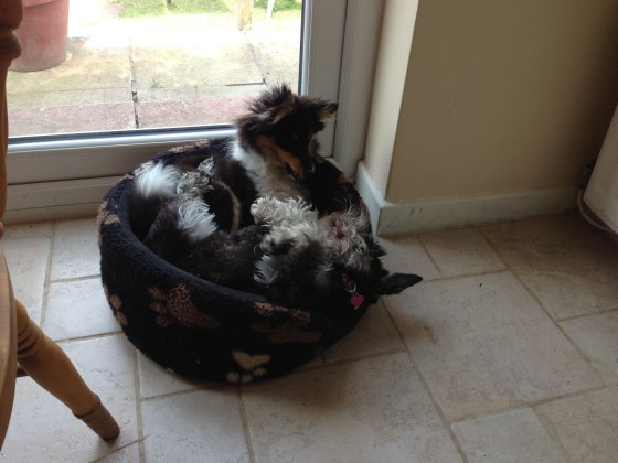 Isn't young love beautiful?