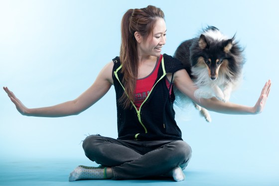 Roy sheltie photoshoot 12 Jump